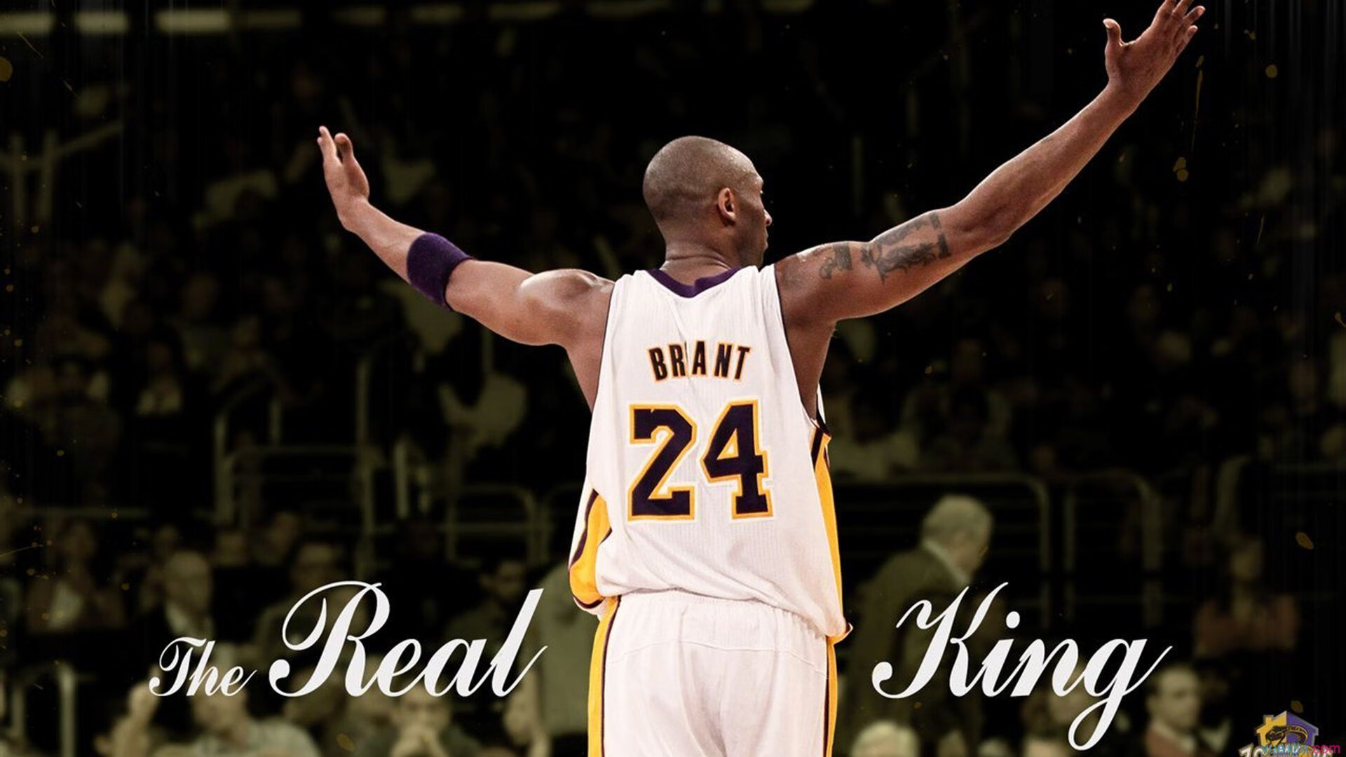 守望先锋 战队新阵容成形，守望先锋最强战队2020